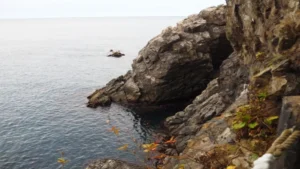 SEA ALPS TRAIL JOURNEY