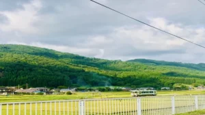 遠野マラソン