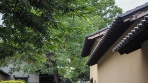 小布施見にマラソン