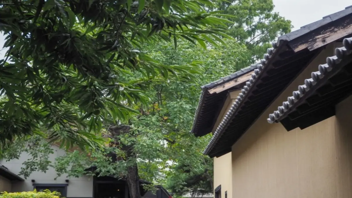 小布施見にマラソン