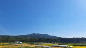 名久井岳アドベンチャートレイルレース