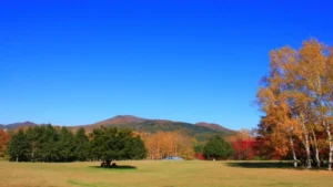 北海道ロードレース