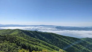 もこと山ふきおろしマラソン大会
