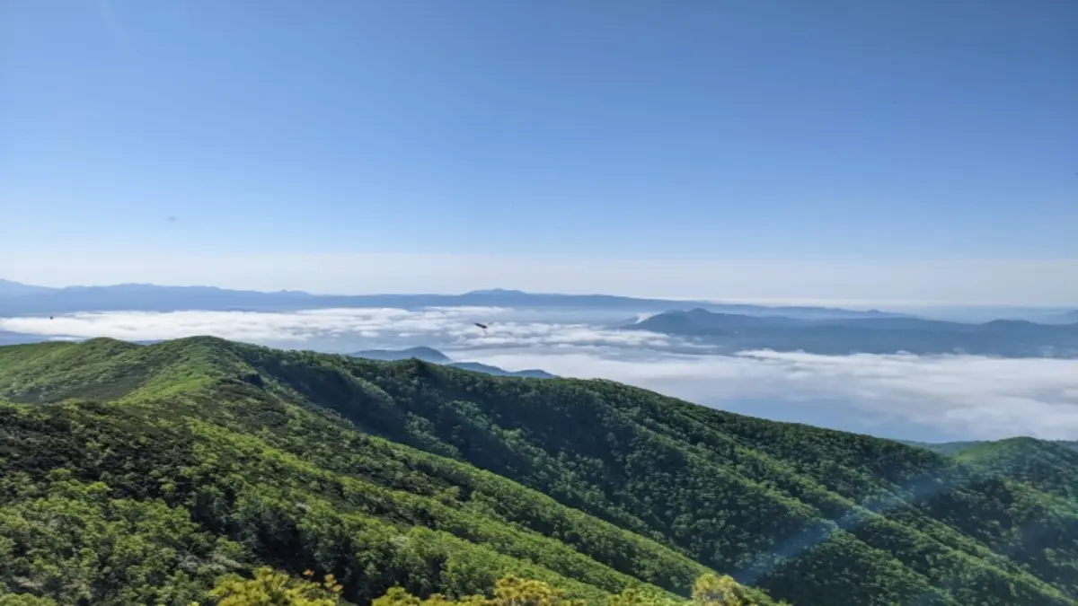 もこと山ふきおろしマラソン大会