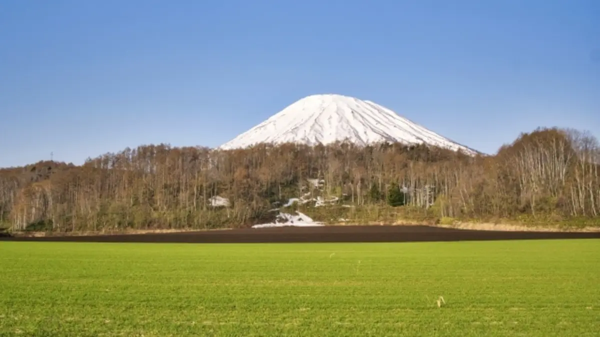 出光北海道 とまこまいマラソン大会