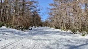 白旗山トレイルレース