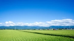 扇状地マラソンinにゅうぜん