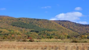 FUKAGAWA ROAD CHALLENGE