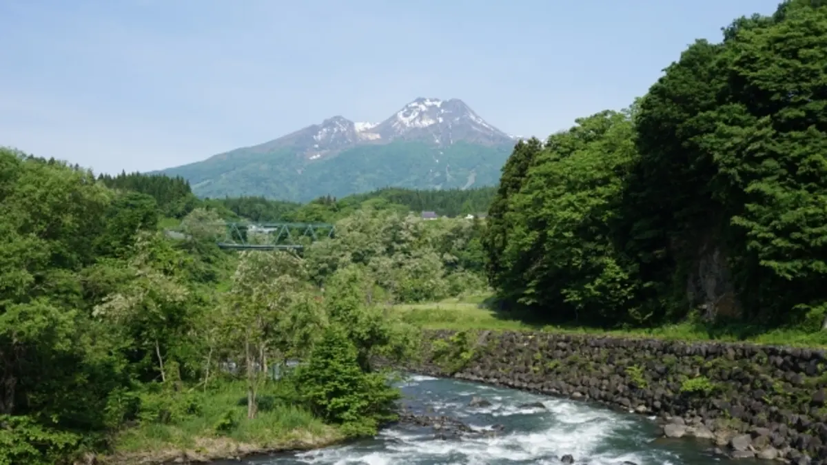 関川マラソン