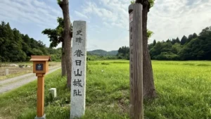 越後謙信 きき酒マラソン