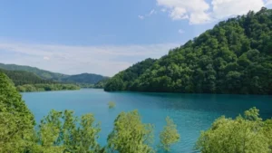 河北新報錦秋湖マラソン