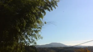 室根大祭登山マラソン