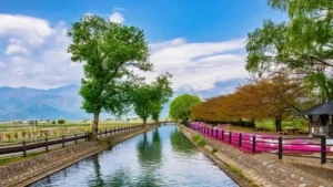 信州安曇野ハーフ
