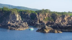 佐渡島一周エコ･ジャーニーウルトラ遠足208km