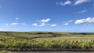 日本最北端わっかない平和マラソン