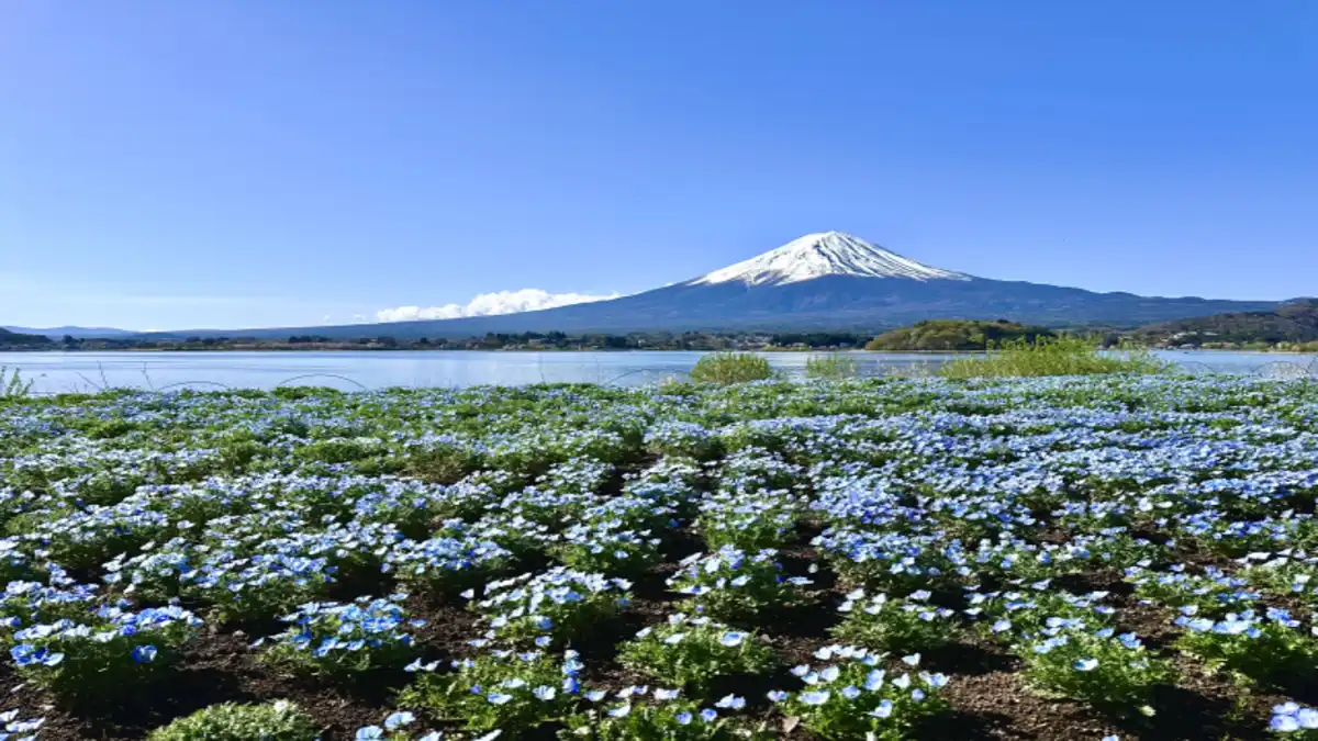 富士山麓Women's Trail Run