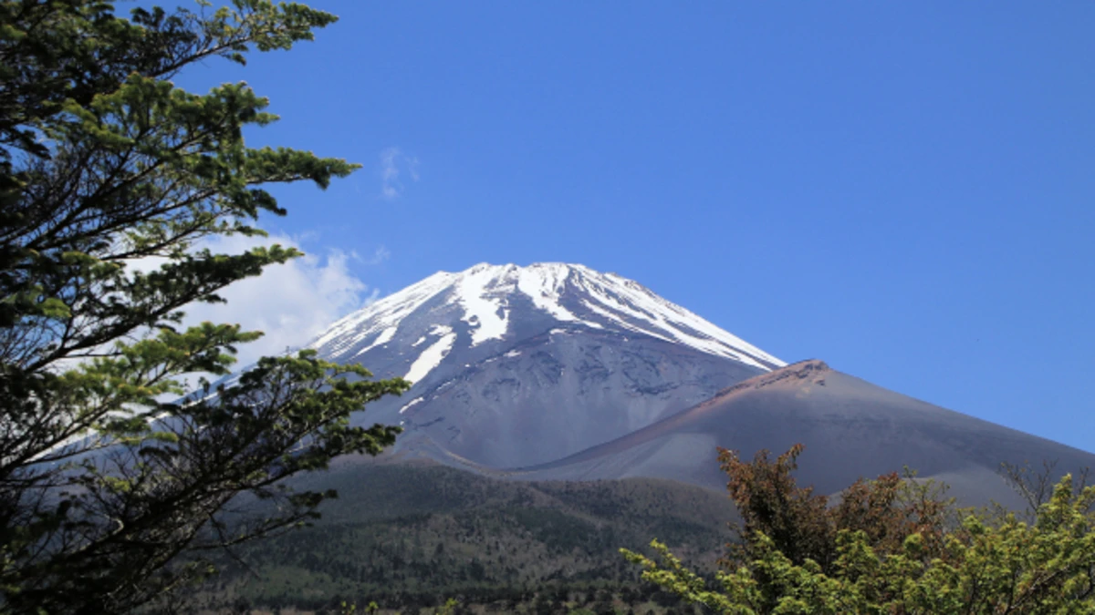 世界文化遺産"富士山"山麓一周フットレース