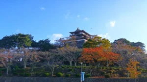 坂井市古城マラソン大会