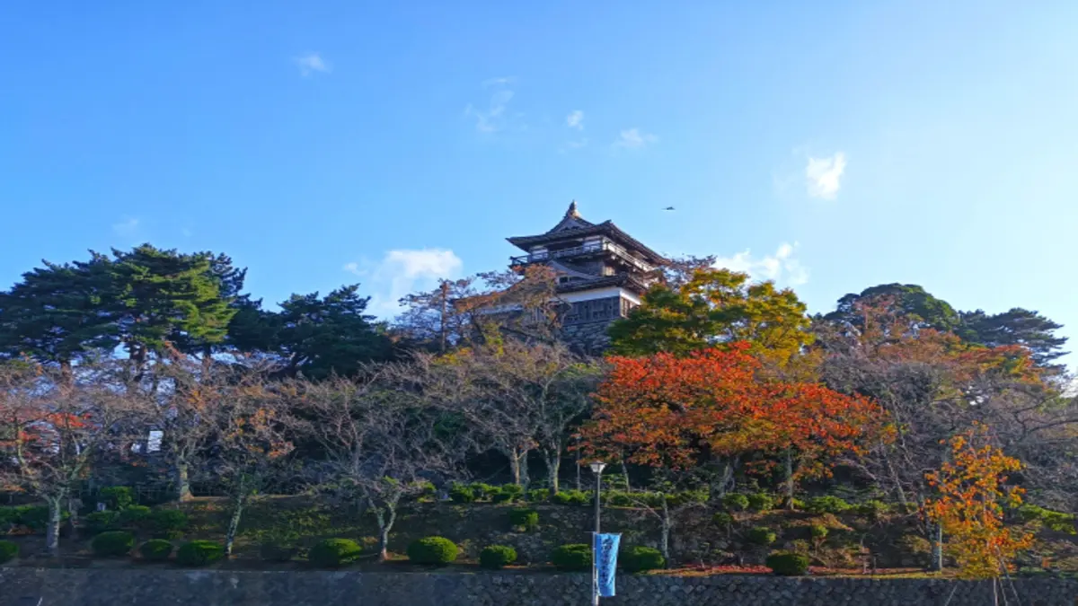 坂井市古城マラソン大会