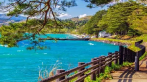 田沢湖マラソン
