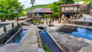 NOZAWA TRAIL FES