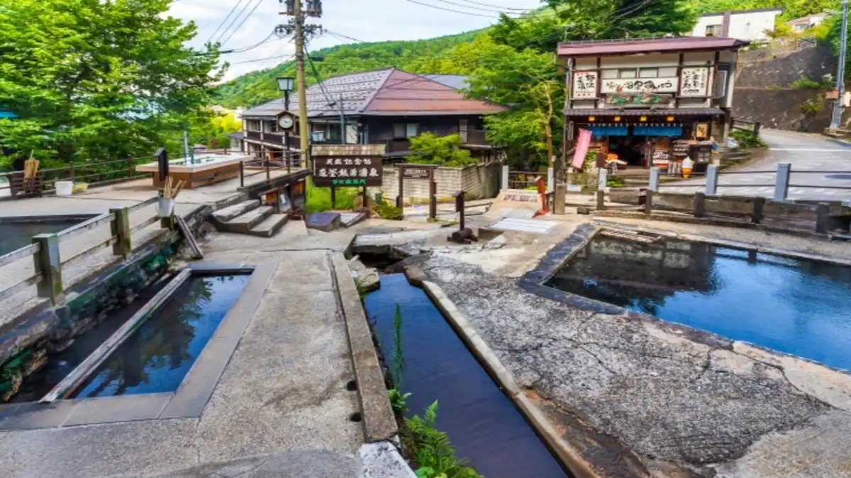 NOZAWA TRAIL FES
