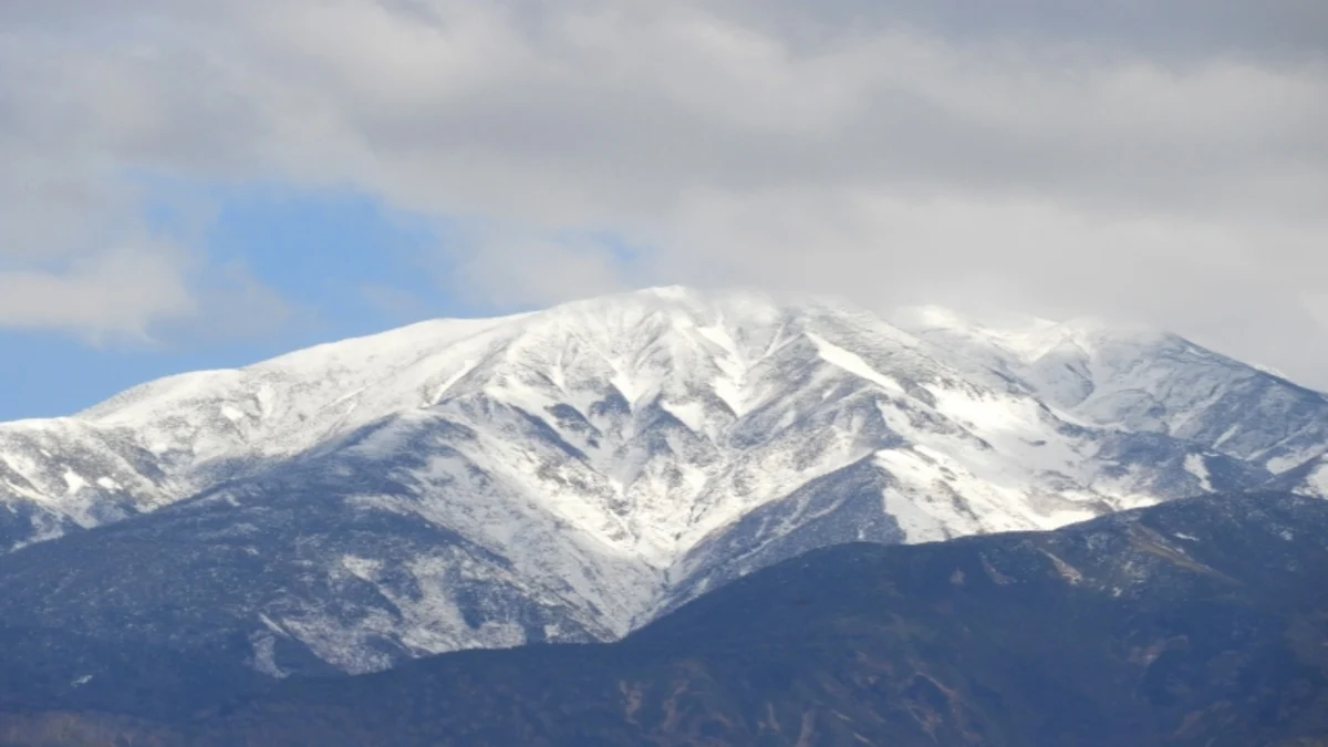いいとこ白山あさがおマラソン