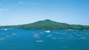 河北新報気仙沼つばきマラソン