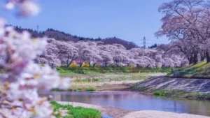 小野こまちロードレース