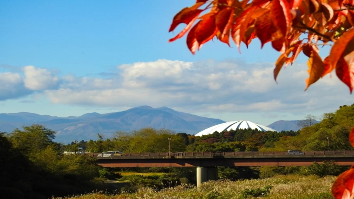 仙台泉ヶ岳トレイルラン