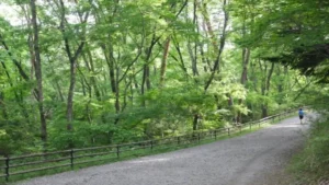 台原森林公園新緑マラソン
