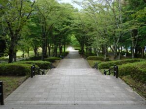 栃木井頭31K
