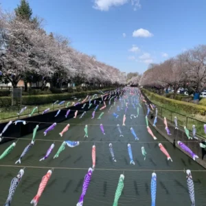 たてばやし駅伝大会
