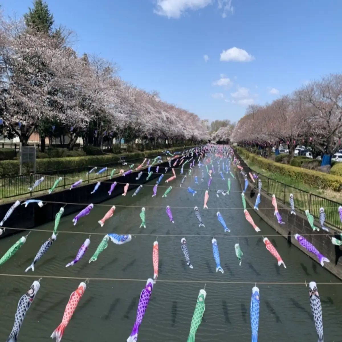 たてばやし駅伝大会