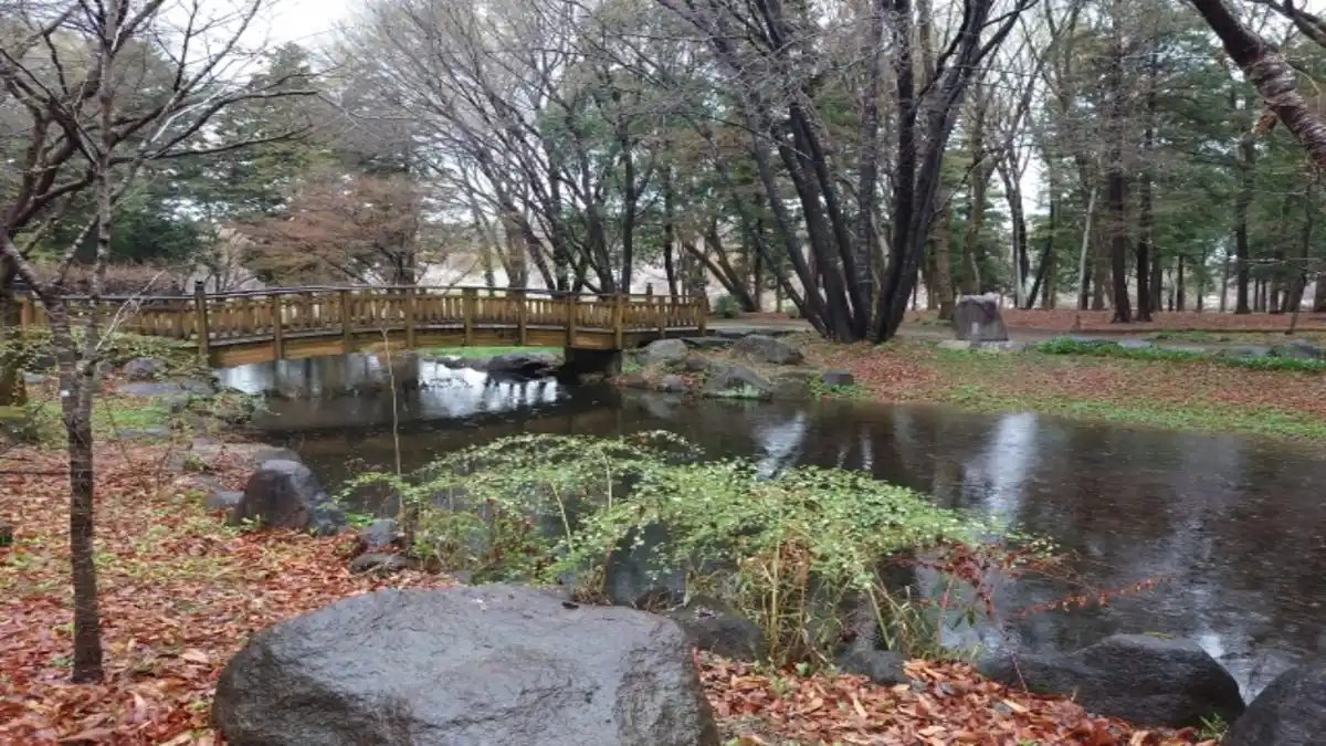 下野市天平マラソン