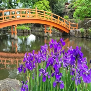 上州藤岡蚕マラソン