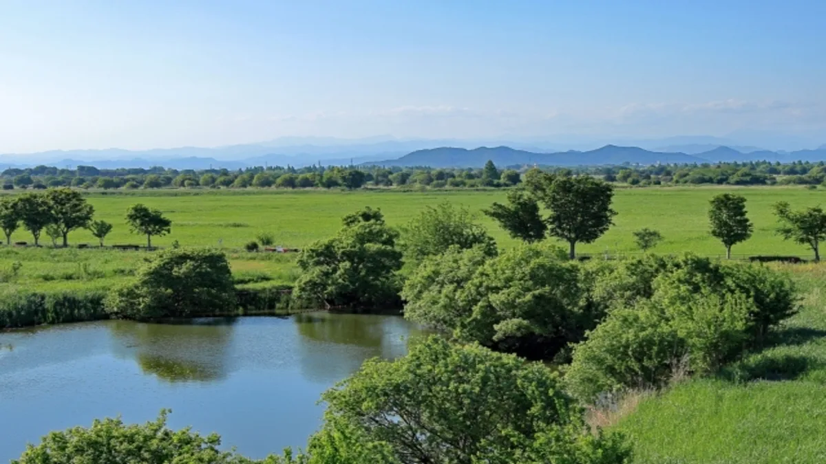渡良瀬遊水地オータムマラソン