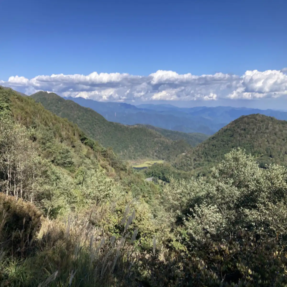赤城山トレイルリレーマラソン